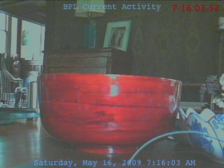 1242472568.jpg 