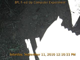 1284221447.jpg 
