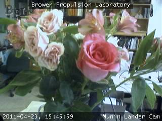1303587951.jpg 